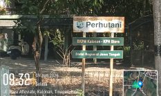 HUTAN JATI TODANAN BLORA RUSAK PARAH DAN GUNDUL   