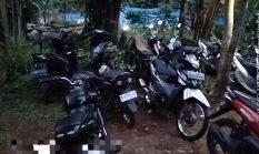 Diduga Praktik Perjudian Sabung Ayam, Capjiki dan Dadu di Toyomarto Masih Berlangsung, Warga Minta Aparat Bertindak Tegas